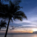Resorts Resorts