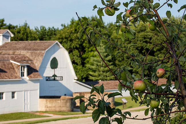 Barns at Lied Lodge and Conference Center, Credit: Lied Lodge