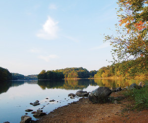 Featured Destination