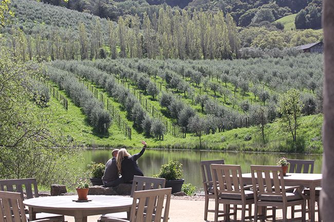 McEvoy Ranch, Marin County