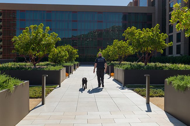 John & Daisy On Patrol Outside Pechanga Resort & Casino