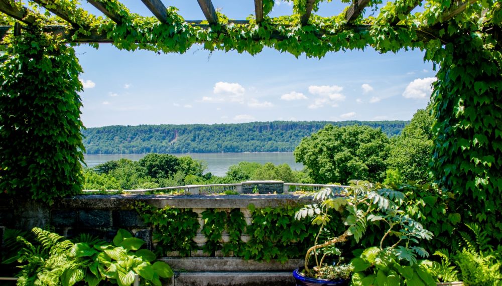 View from inside a greenery covered pergola