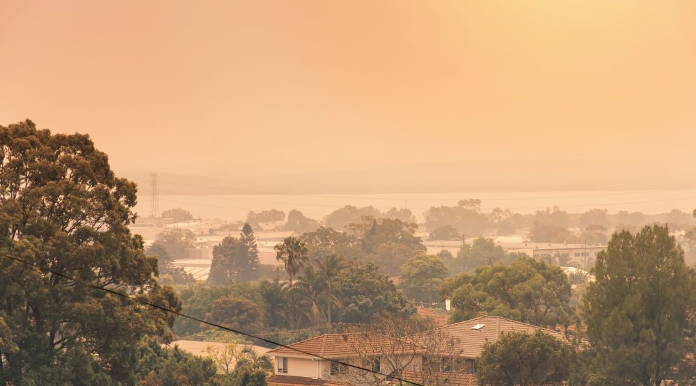 Australian Bushfires Skyview