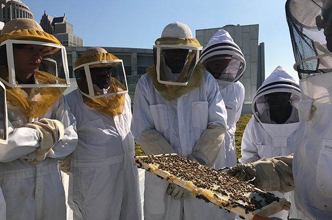 TCF Center Bee Keeping Program