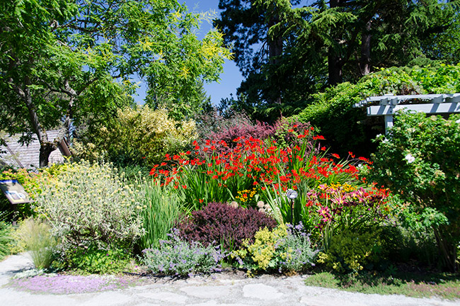 Bellevue Botanical Garden, Courtesy: Visit Bellevue