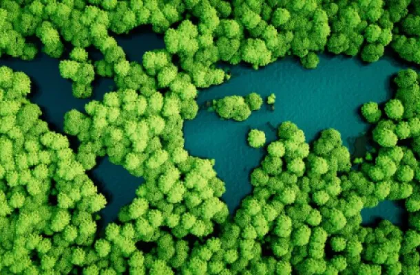 Graphic of forest with lakes shaped like a map of Earth.