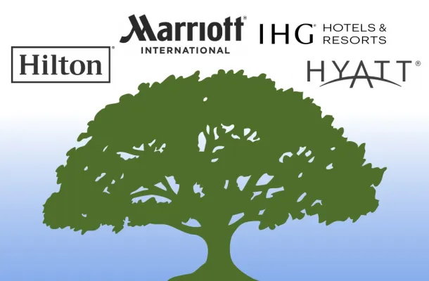 Hotel Family Tree