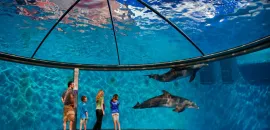 Indianapolis Zoo