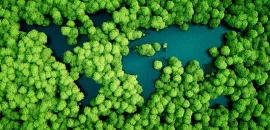 Graphic of forest with lakes shaped like a map of Earth.