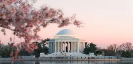 Cherry blossoms and Lincoln Memorial in Washington, D.C.