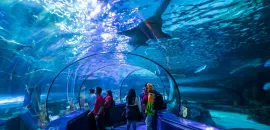 Ripley's Aquarium Photo Credit Visit Myrtle Beach