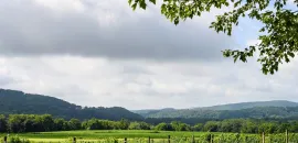 Panoramic view, Villa Milagro Vineyards