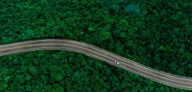 Forest drone view and car driving on the road