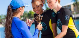 Atlantis Paradise Island's Atlantis Blue Project Foundation Coral Outplanting Program