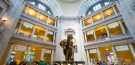 The Smithsonian Natural History Museum, with a crowd gathered around an exhibit of an elephant.