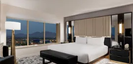 MGM king guest room. 