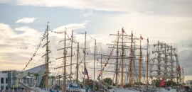 Tall Ships