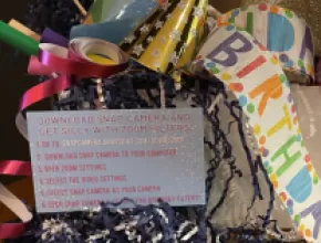 Birthday Bash Boxes