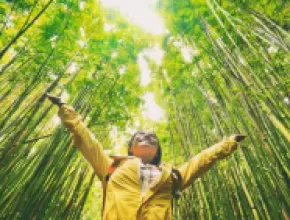 Woman walking through trees in a forest.