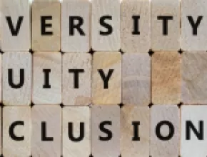 Diversity, equity and inclusion building blocks graphic.