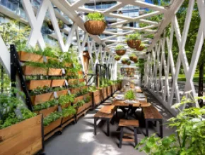 1 Hotel Toronto Outdoor Dining