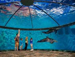 Indianapolis Zoo