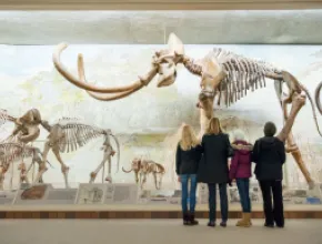 Morrill Hall in Lincoln, Nebraska