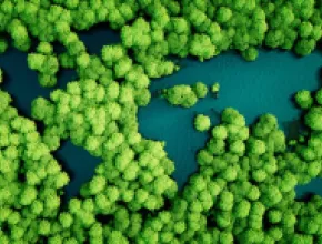Graphic of forest with lakes shaped like a map of Earth.