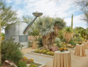 Cactus Alley reception setup, Springs Preserve, Las Vegas