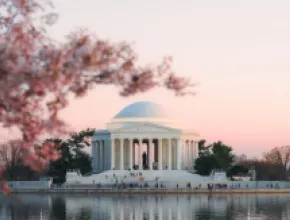 Cherry blossoms and Lincoln Memorial in Washington, D.C.