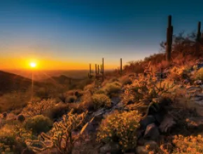 Scottsdale's McDowell Sonoran Preserve at sunset. 