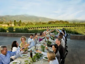 Photo of people gathered at a table for a meal, toasting each other with vineyards in the background.