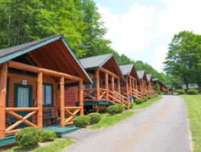 Timber Lake cabins