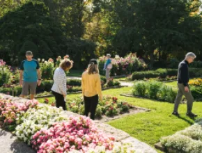 Dubuque Arboretum and Botanical Gardens
