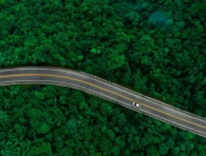 Forest drone view and car driving on the road
