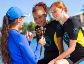 Atlantis Paradise Island's Atlantis Blue Project Foundation Coral Outplanting Program