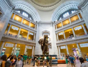 The Smithsonian Natural History Museum, with a crowd gathered around an exhibit of an elephant.