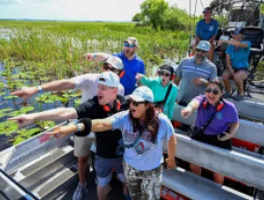 Airboat tour
