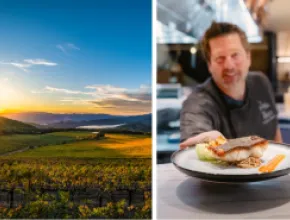 Split photo with a winery on the left and a man serving an entree on the right.