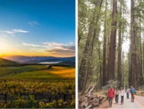 Collage of Chateau Montelena (left) and Armstrong Redwoods State Park.