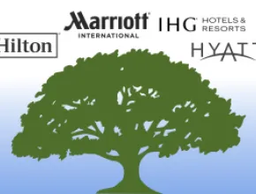 Hotel Family Tree