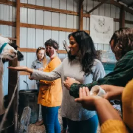 Prairie Patch Farm