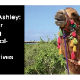 Dear Ashley: Tips for Selling Cultural-Based Incentives