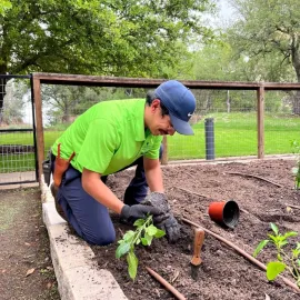 Hector Rivera Working in the JW Marriott San Antonio Hill Country Resort & Spa Garden