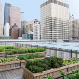 Chicago Marriott Downtown Magnificent Mile's Rooftop Garden