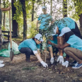 Group of people planting a tree.