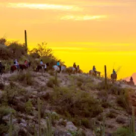 Horseback riding at Tanque Verde Guest Ranch