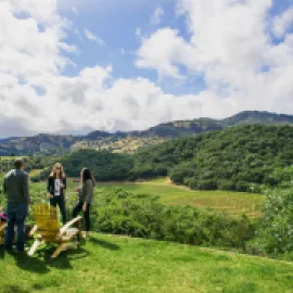 Attendees gathering outside in Napa Valley