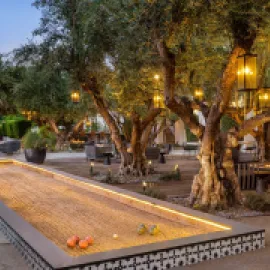 Tommy Bahama Miramonte Resort & Spa, Indian Wells - Olive Grove Patio