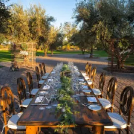 Photo of The Olive Grove, Renaissance Esmeralda Resort & Spa, Indian Wells.